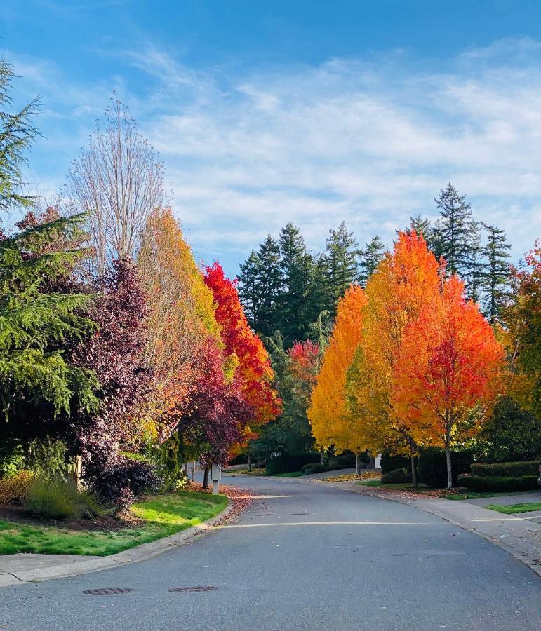 Lucy'S Elegant & Cozy House Apartment Sammamish Exterior foto
