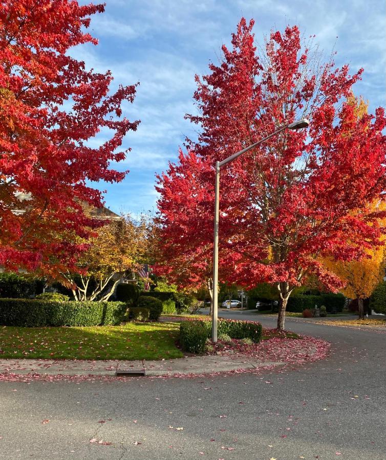 Lucy'S Elegant & Cozy House Apartment Sammamish Exterior foto
