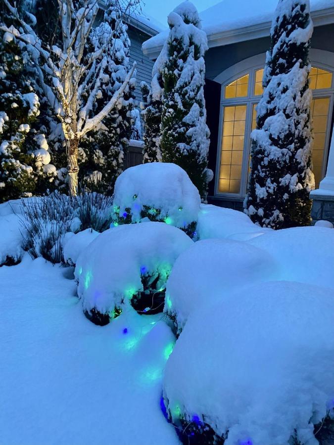 Lucy'S Elegant & Cozy House Apartment Sammamish Exterior foto